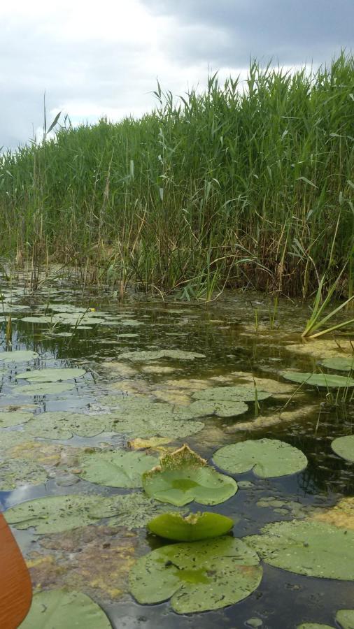 Kwatera Na Bagnach Osowiec  Exterior foto